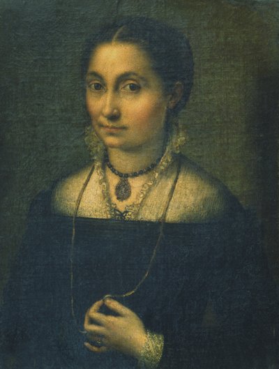 Portrait of Elena by Sofonisba Anguissola